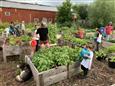 Coop de solidarité Jardinons