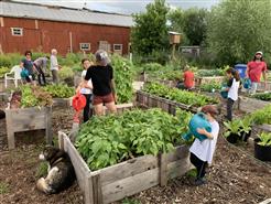 Coop de solidarité Jardinons - 1