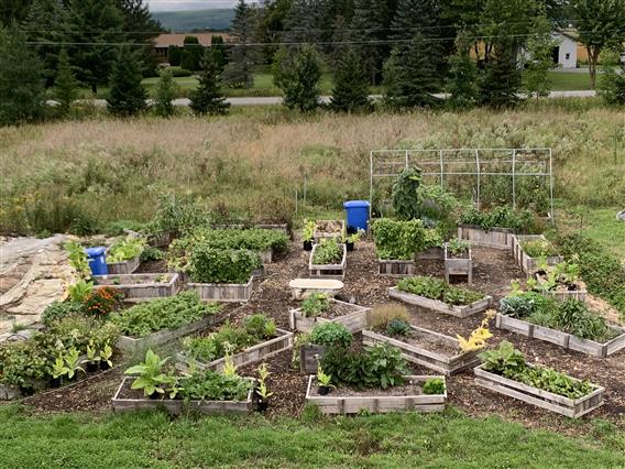 Coop de solidarité Jardinons - 4