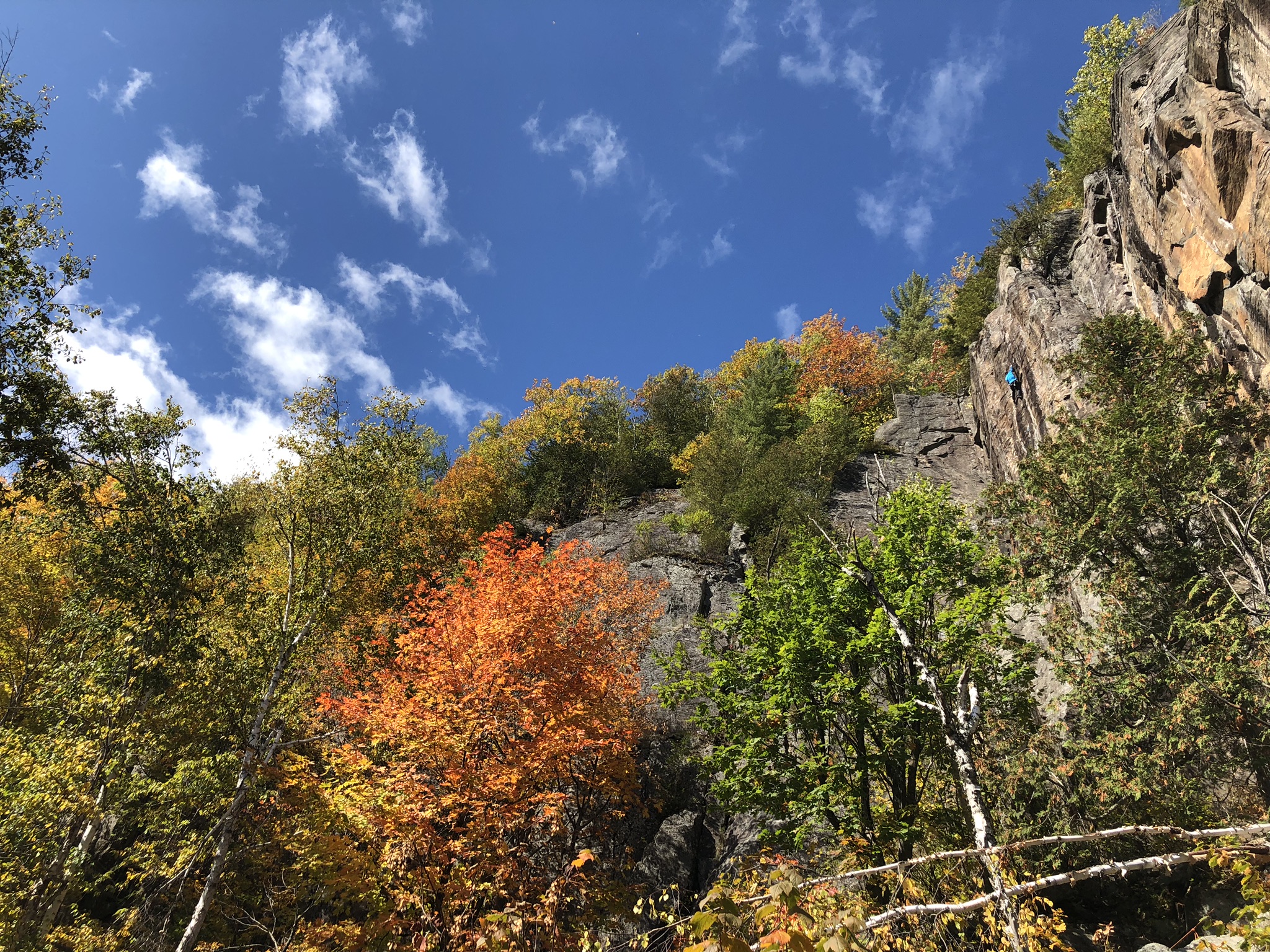 Parc de la falaise cachée-1
