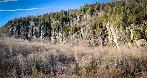 IMG_1645_edited_5735