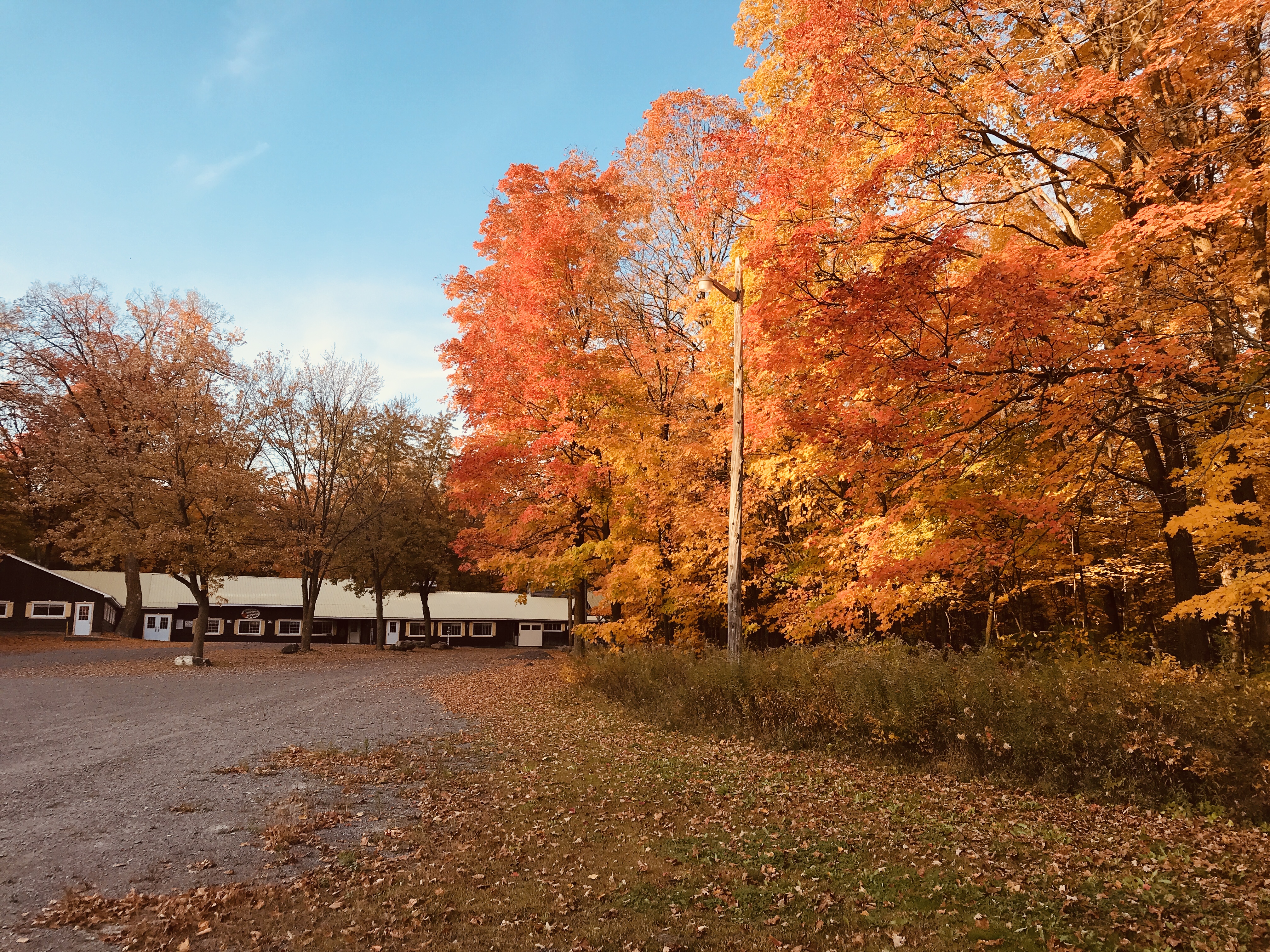 Cabane en automne