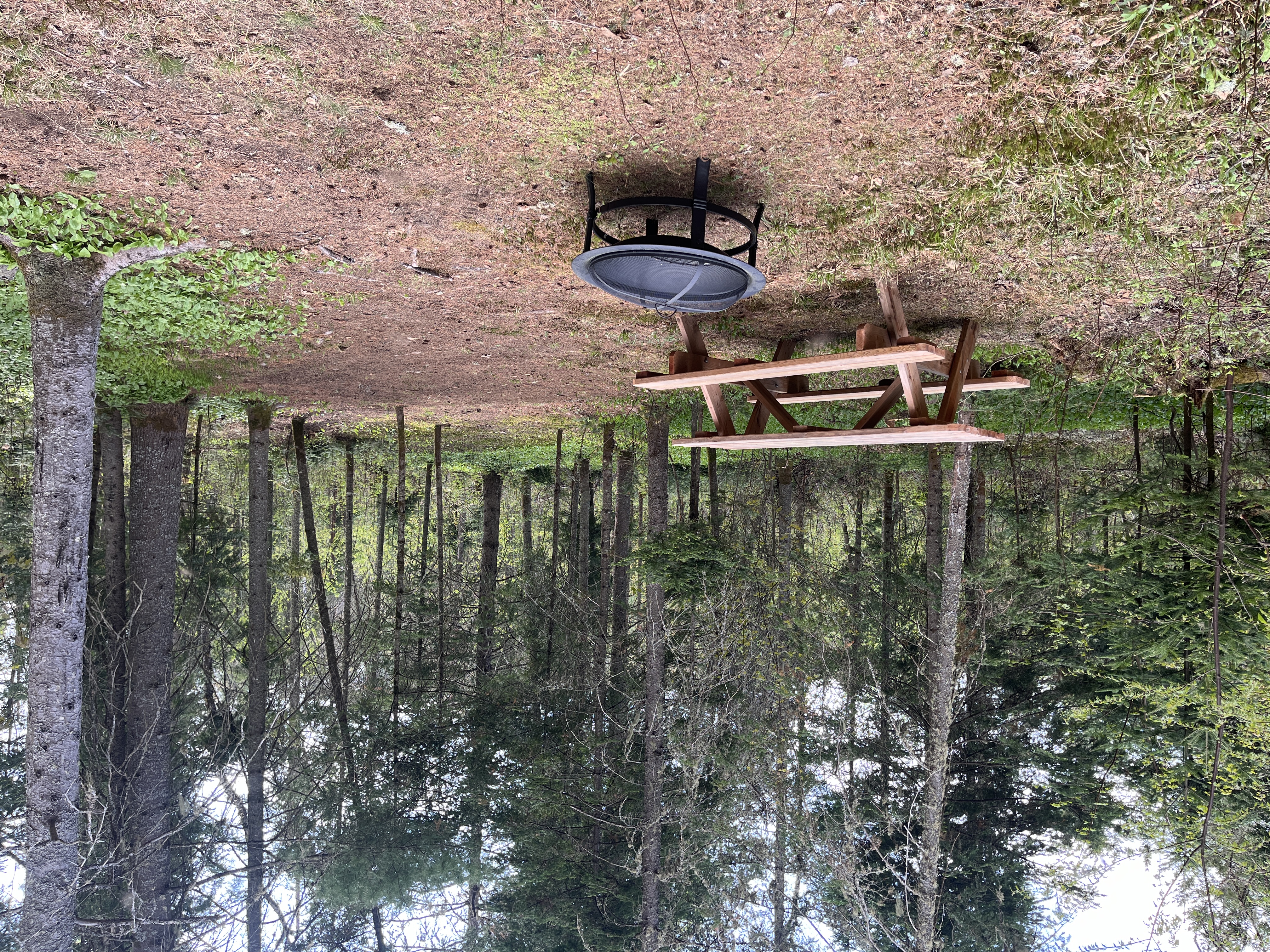 Emplacement en forêt - le cerf - pour tente