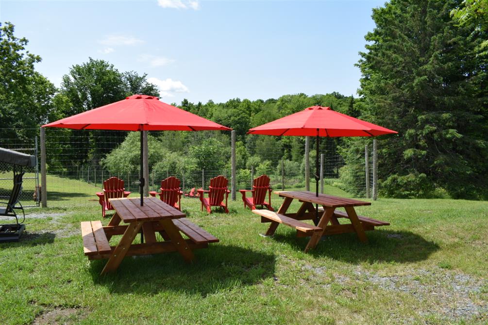 IMG_6024 (&copy;Passion alpagas)