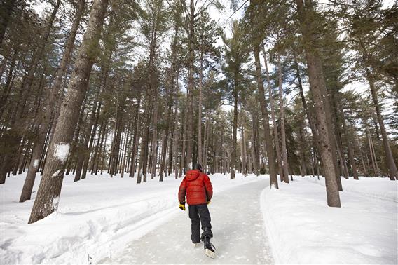 Lac Rawdon et parc des Chutes Dorwin - 11