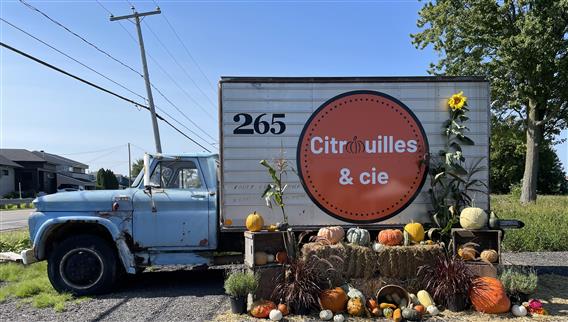 Citrouilles & cie - 1