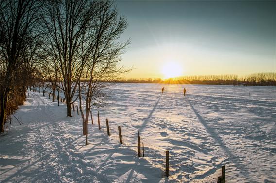 Iles Bertier_SCIRBI_hiver_credit Martin Joly