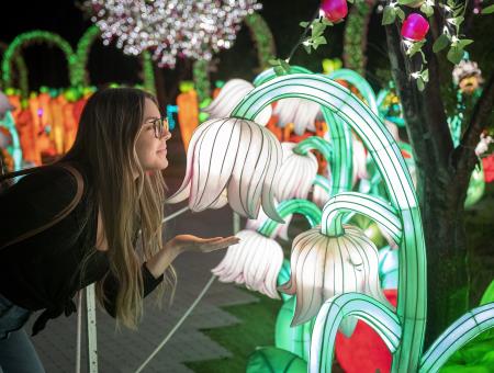 Illumi – Féerie de Lumières