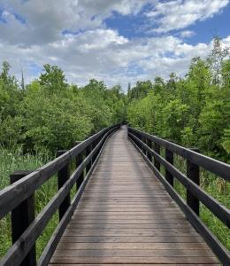 Parc de la Forêt-Boucher