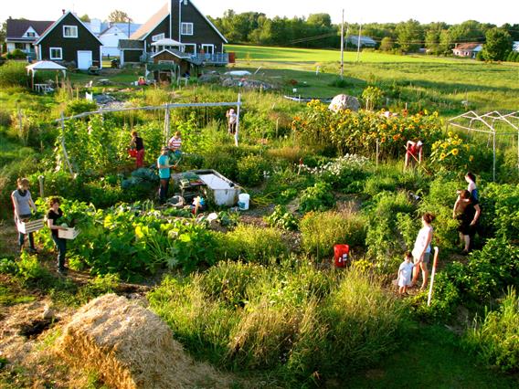 Coop de solidarité Jardinons - 7