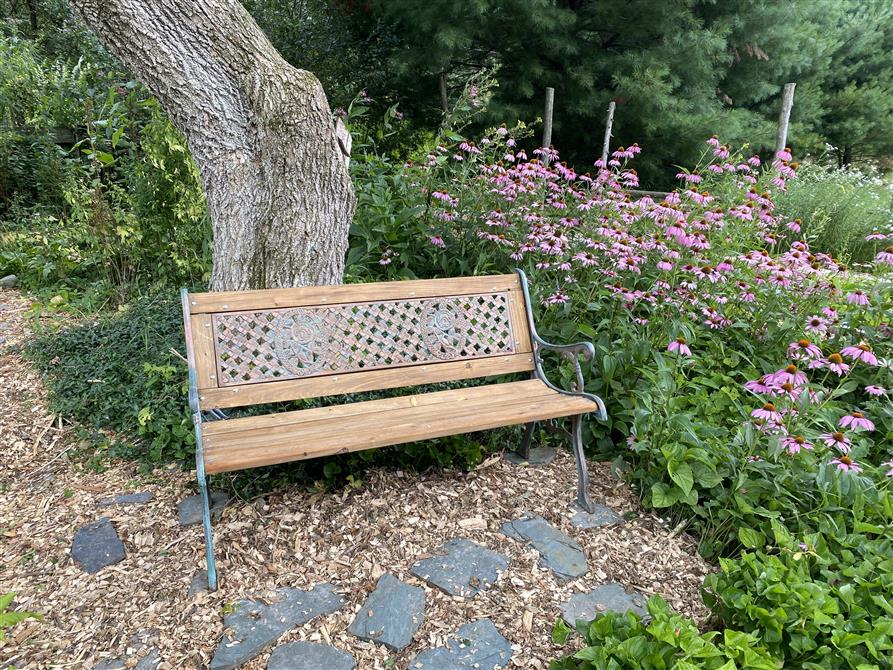 Jardin herboriste  (&copy;Johanne Fontaire)