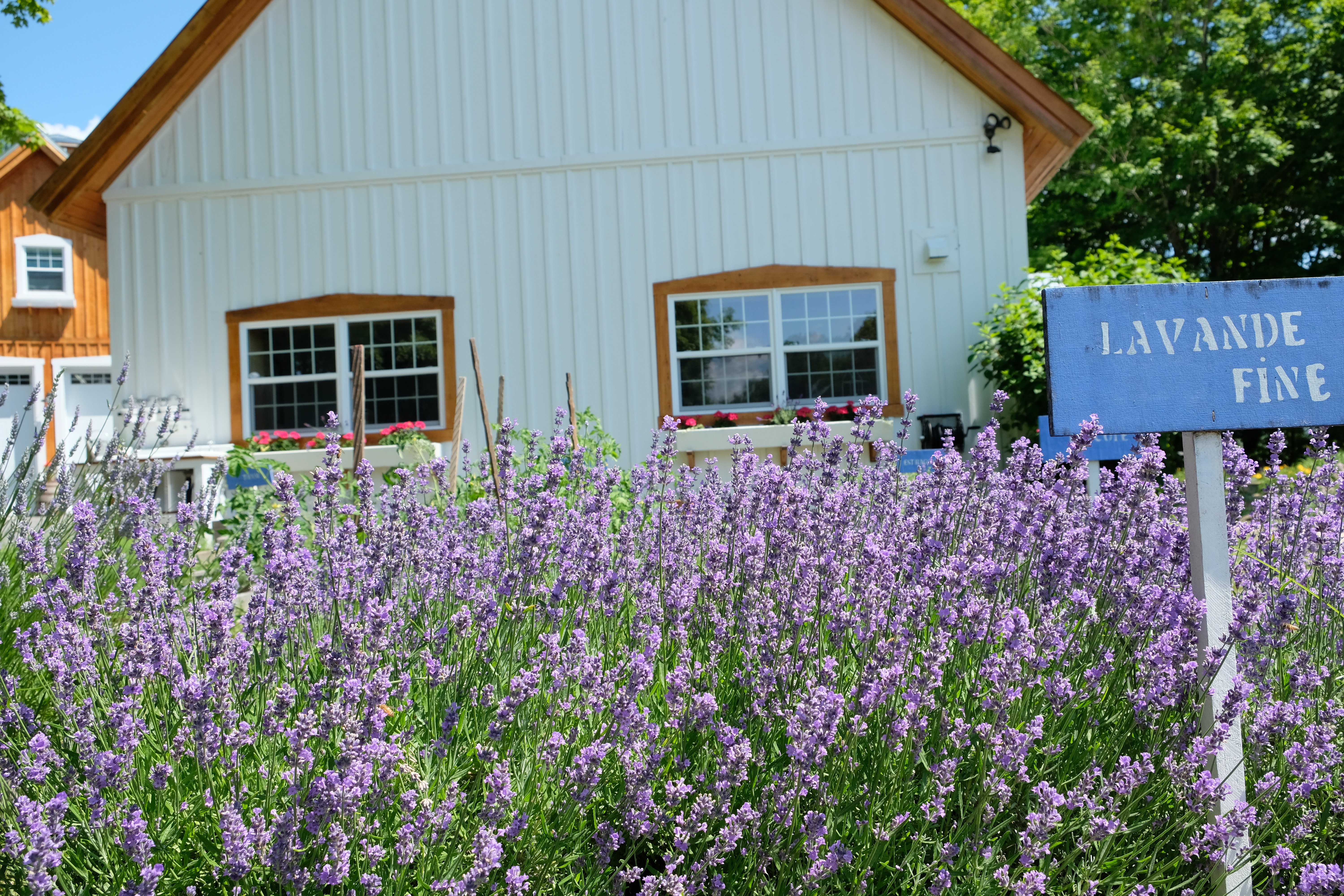 Jardins Aromes et Saveurs - 1