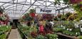 Pépinière Les Jardins Gourmands