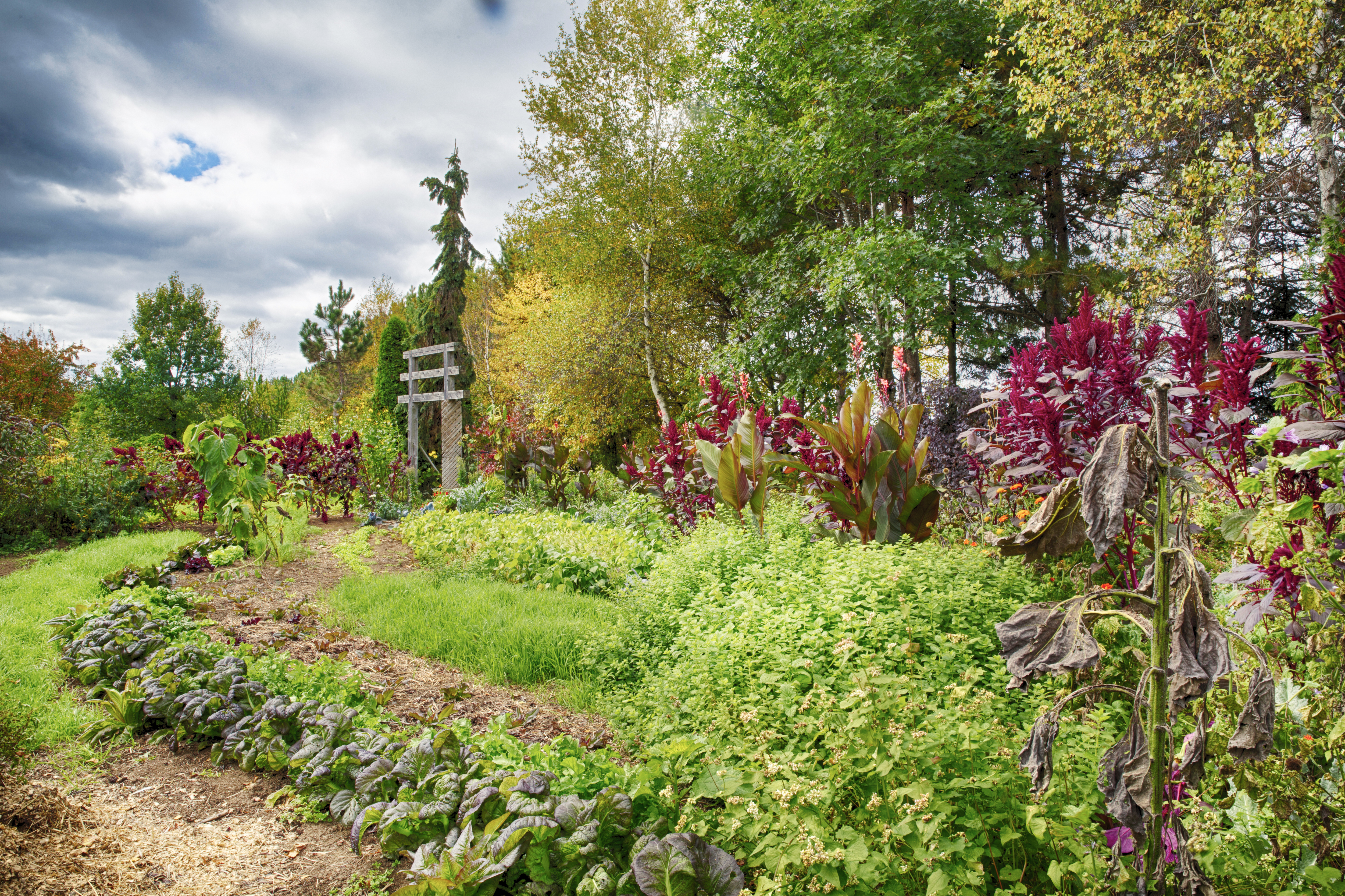 Municipalité de Saint-Didace - 1