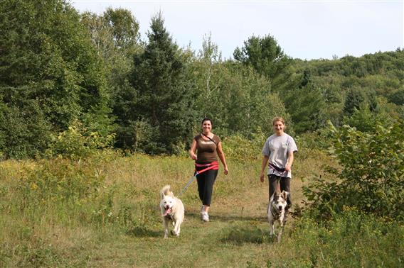 Cani-rando, Lanaudière