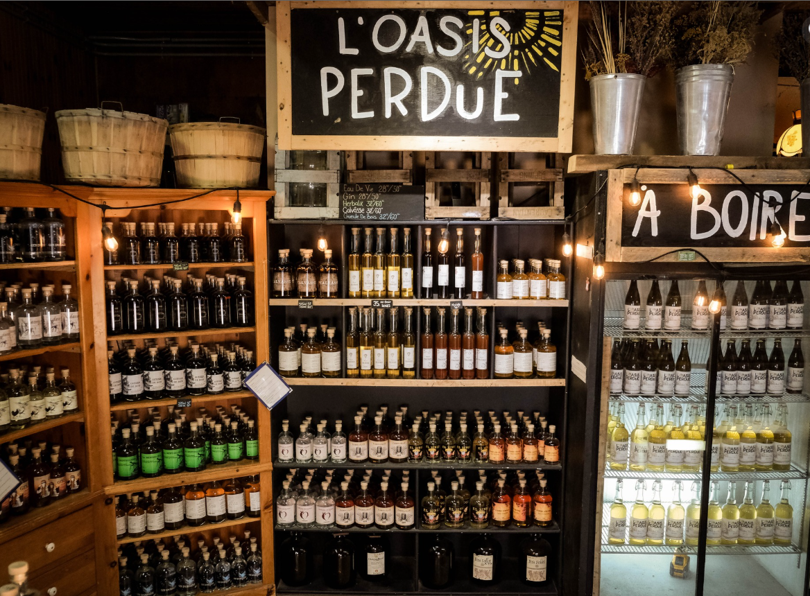 L'Oasis Perdu