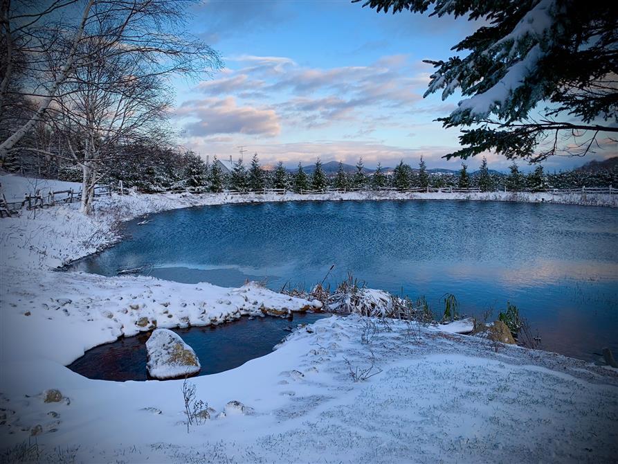 L'hiver s'installe sur l'étang des Cèdres (&copy;Suzanne Durivage)