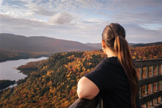 La Roche en automne