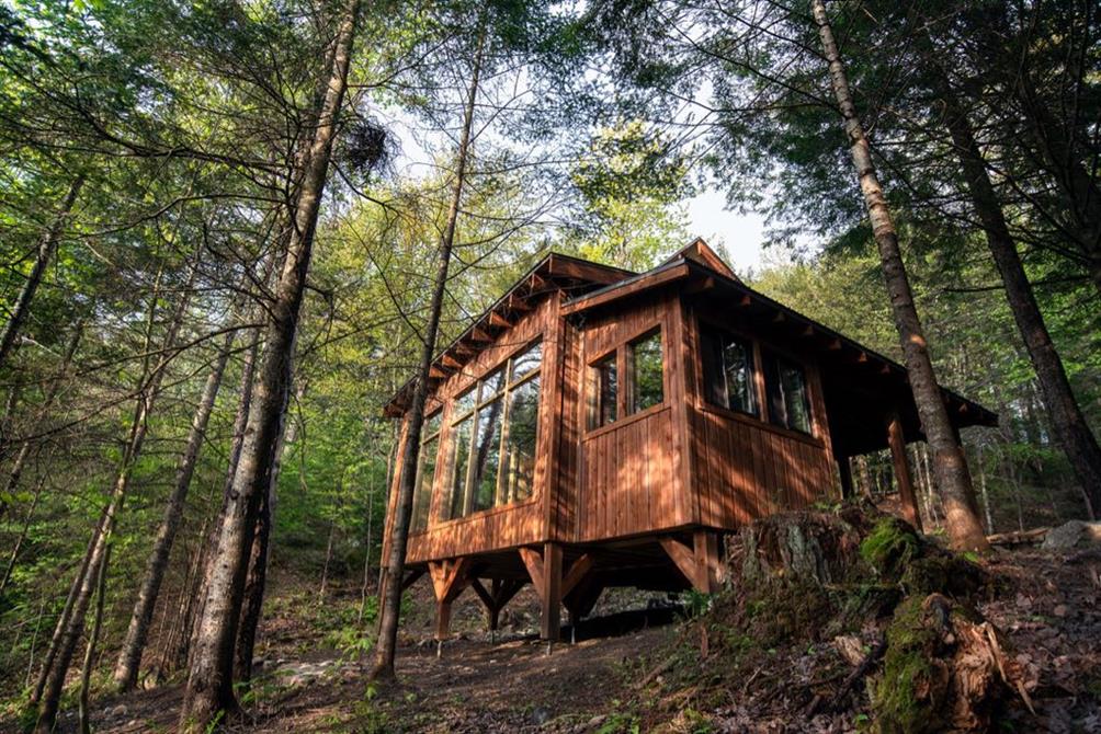 La petite Nyctale (&copy;Exploitant)