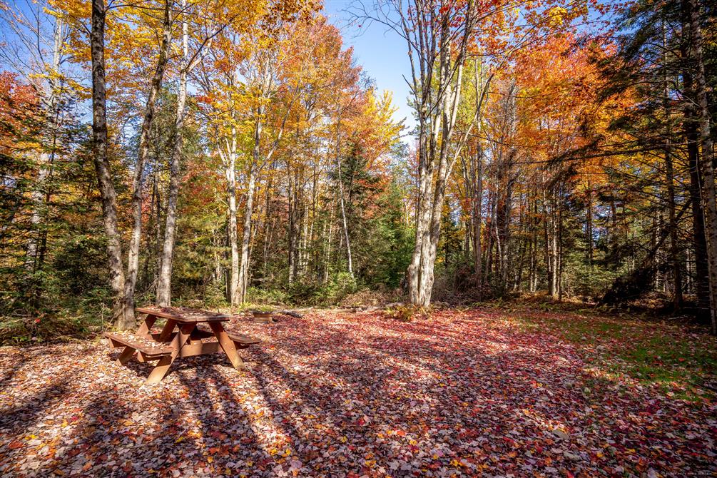 La Chouette (terrain de camping) (&copy;Entre Cîmes et Racines)