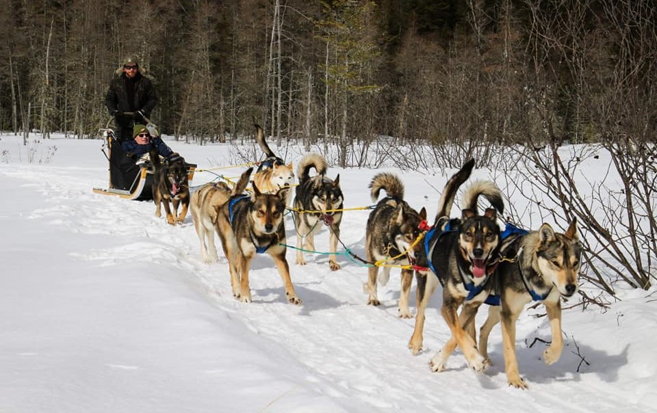 La Meute du Wendigo | Quebec Adventure Outdoor