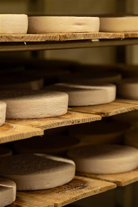 Le d'IBERVILLE (&copy;Fromagerie Missiska)
