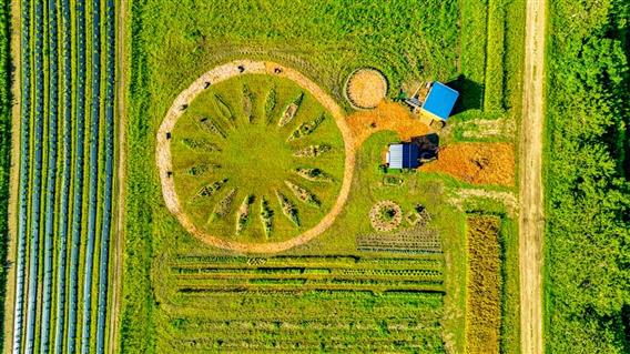 Le jardin vue du ciel