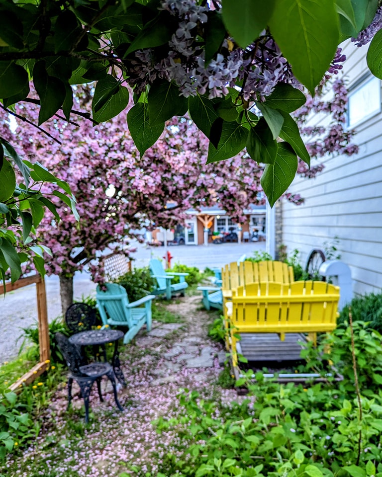 Les lilas en fleurs et la terrasse fleurie