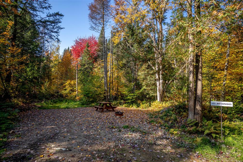 Les Mésanges (terrain de camping) (&copy;Entre Cîmes et Racines)