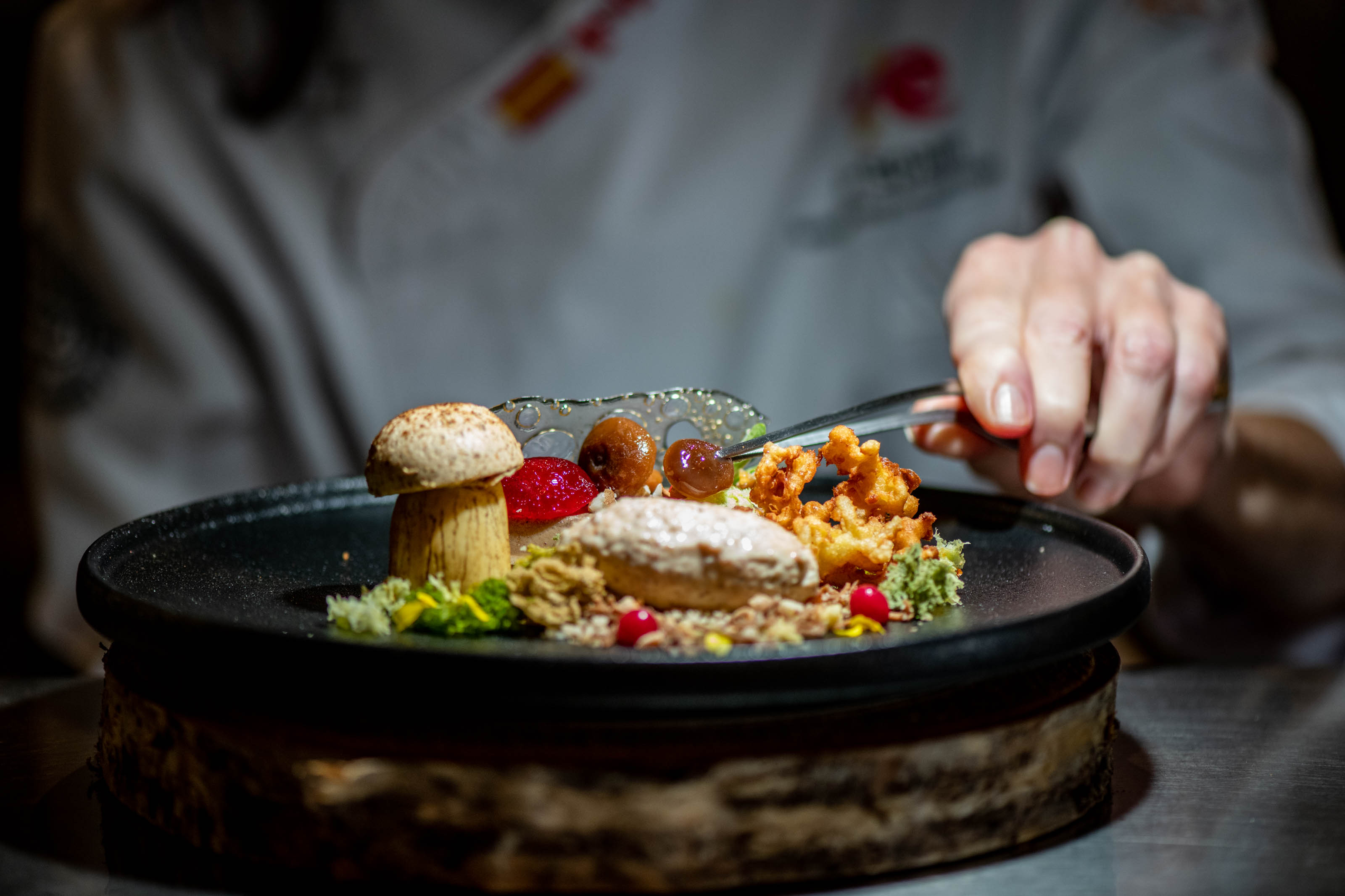 MYCO - Rdv de la gastronomie forestière