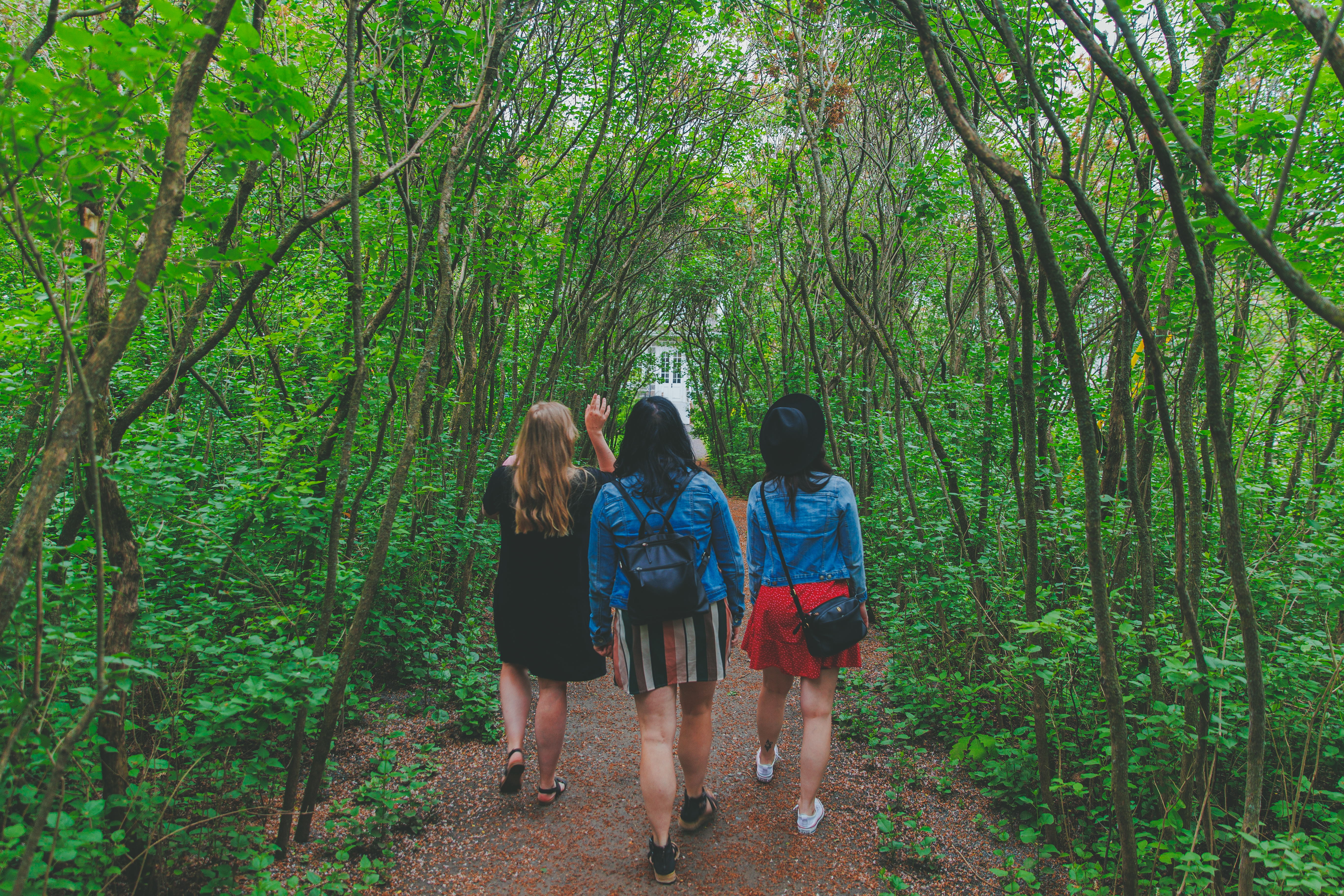 Maison Antoine-Lacombe_jardins_2022_credit Simon Laroche16