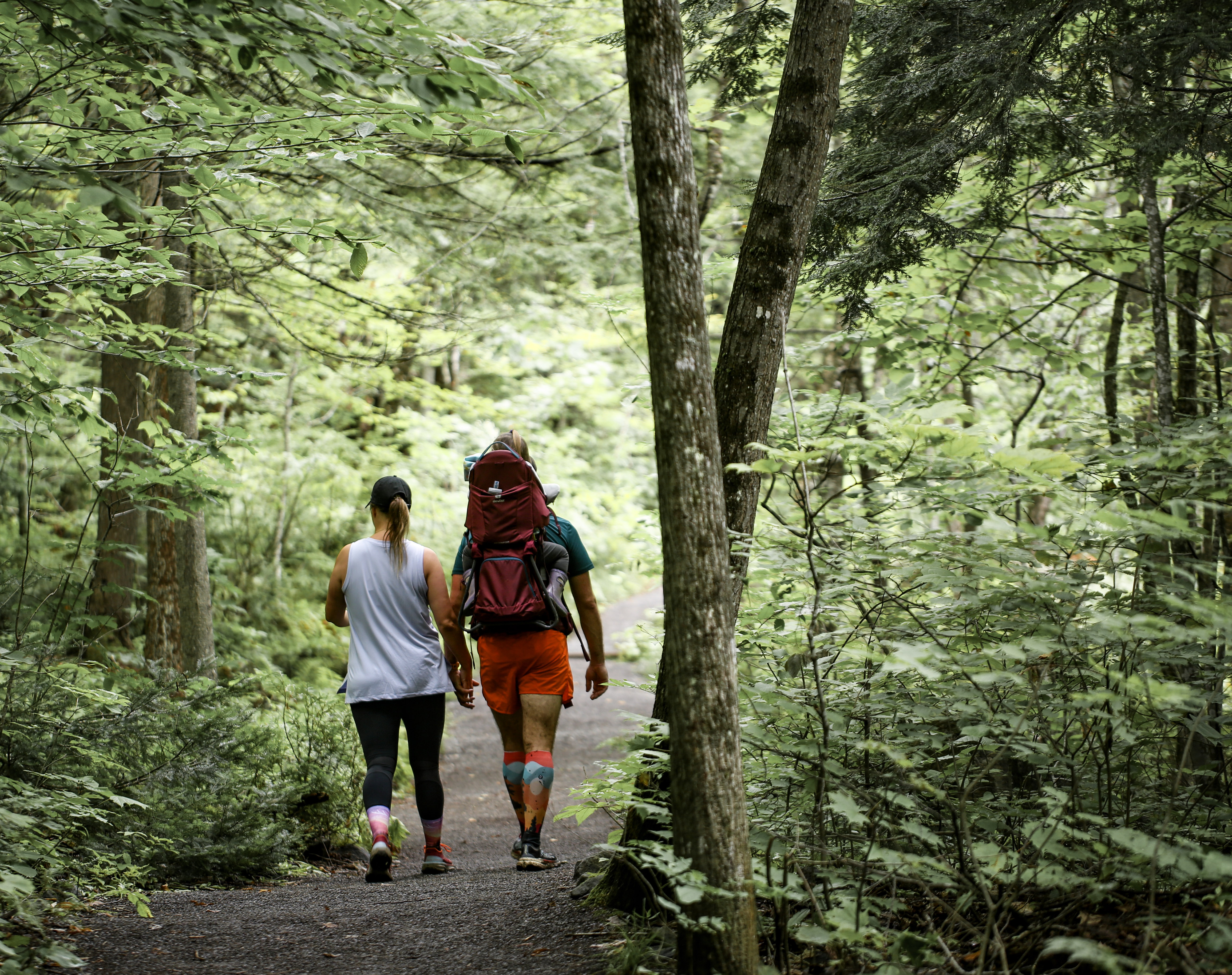 Marche en forêt 