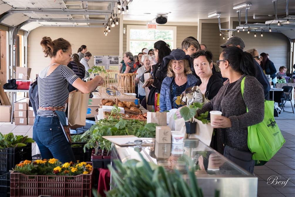 Marché vue d'ensemble 2 (&copy;Ville de Farnham )