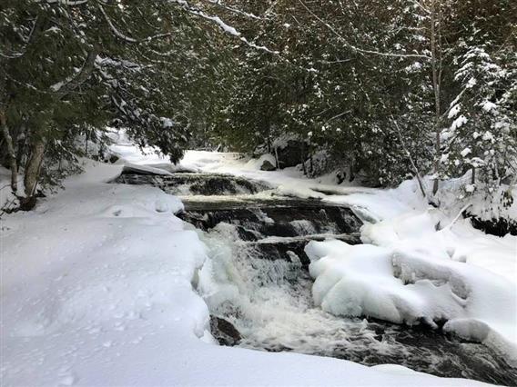 Beauté hivernale