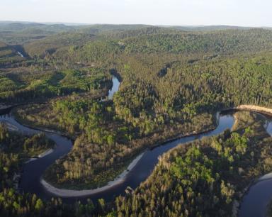 Canot, kayak, planche à pagaie, navette