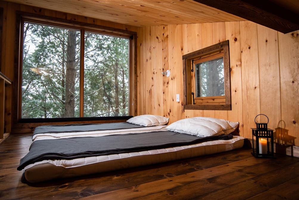 Mésange mezzanine (&copy;Tous droits reservés)