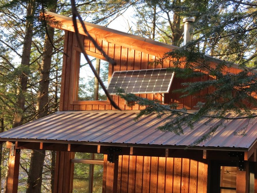 Mésange panneau solaire (&copy;Tous droits reservés)