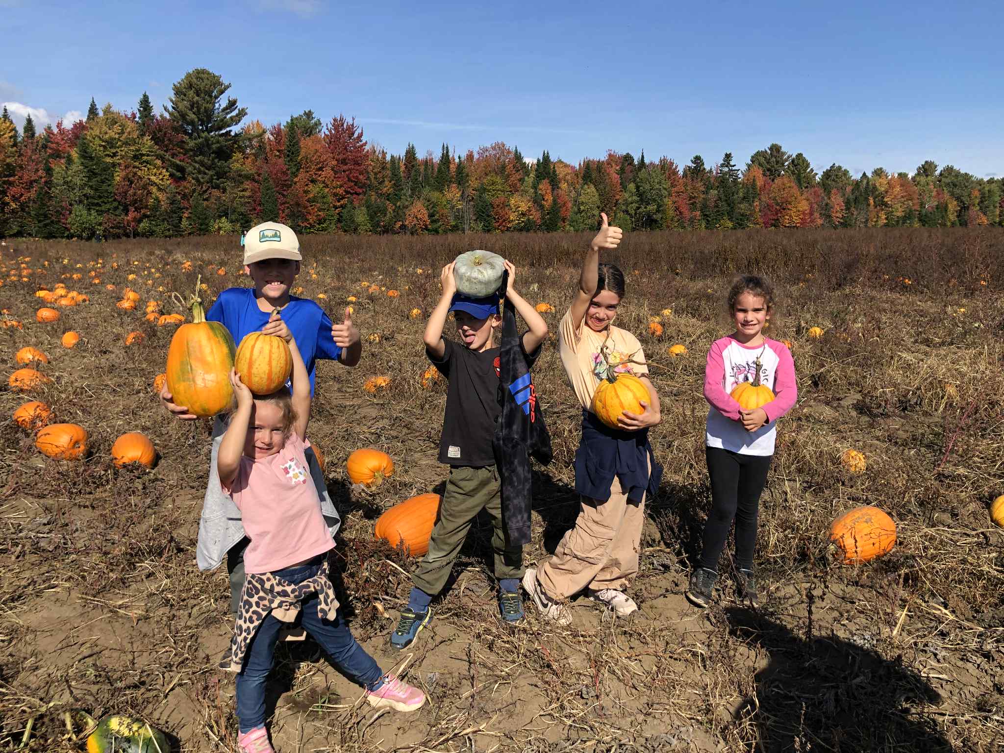 Messenger_creation_F6103F60-7E1A-4AC6-B5C5-9ACAFE081387 - Copie