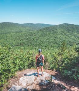 Parc du Massif du Sud