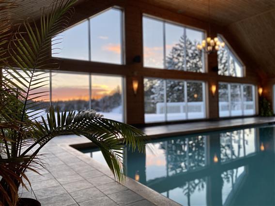 PLB-centre-aquatique-palmier-premier-plan-coucher-soleil-horizontale