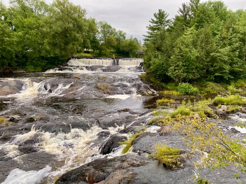 Chutes (&copy;Parc Marie-Victorin de Kingsey Falls)