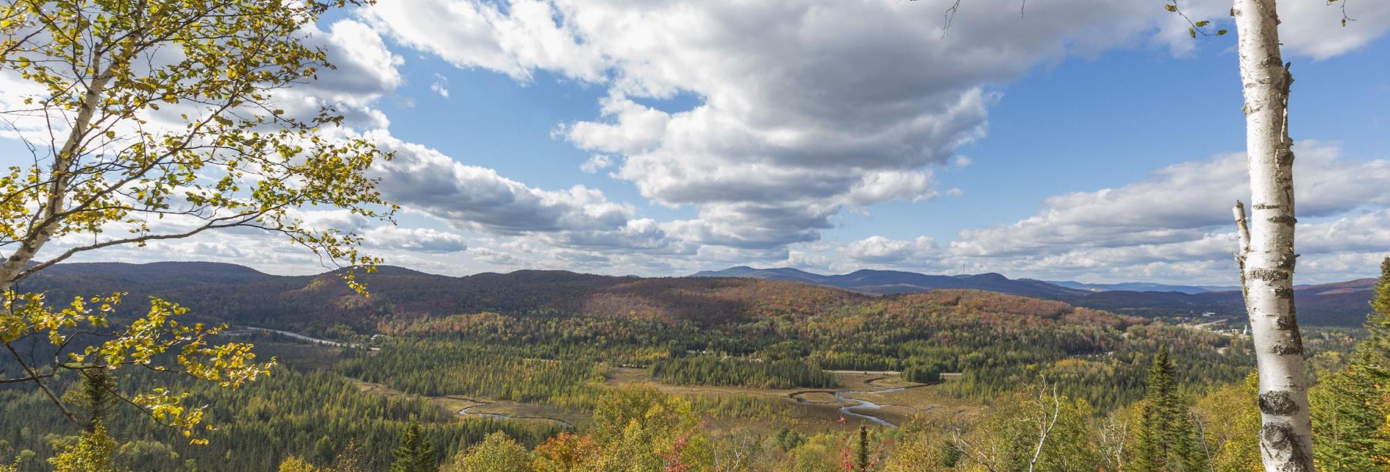 Parc régional de la Forêt Ouareau