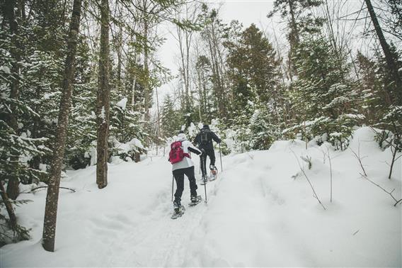 Raquette en sentier, Lanaudière