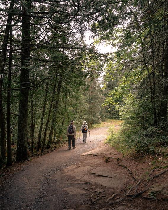 Sentier de randonnée, Lanaudière