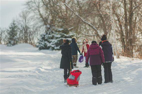 Patin, glissade, et raquette - Parc régional de l'île Lebel - 5