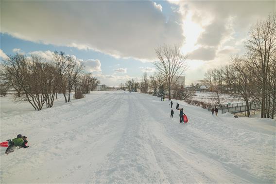 Patin, glissade, et raquette - Parc régional de l'île Lebel - 6