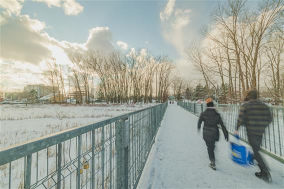 Patin, glissade, et raquette - Parc régional de l'île Lebel - 4