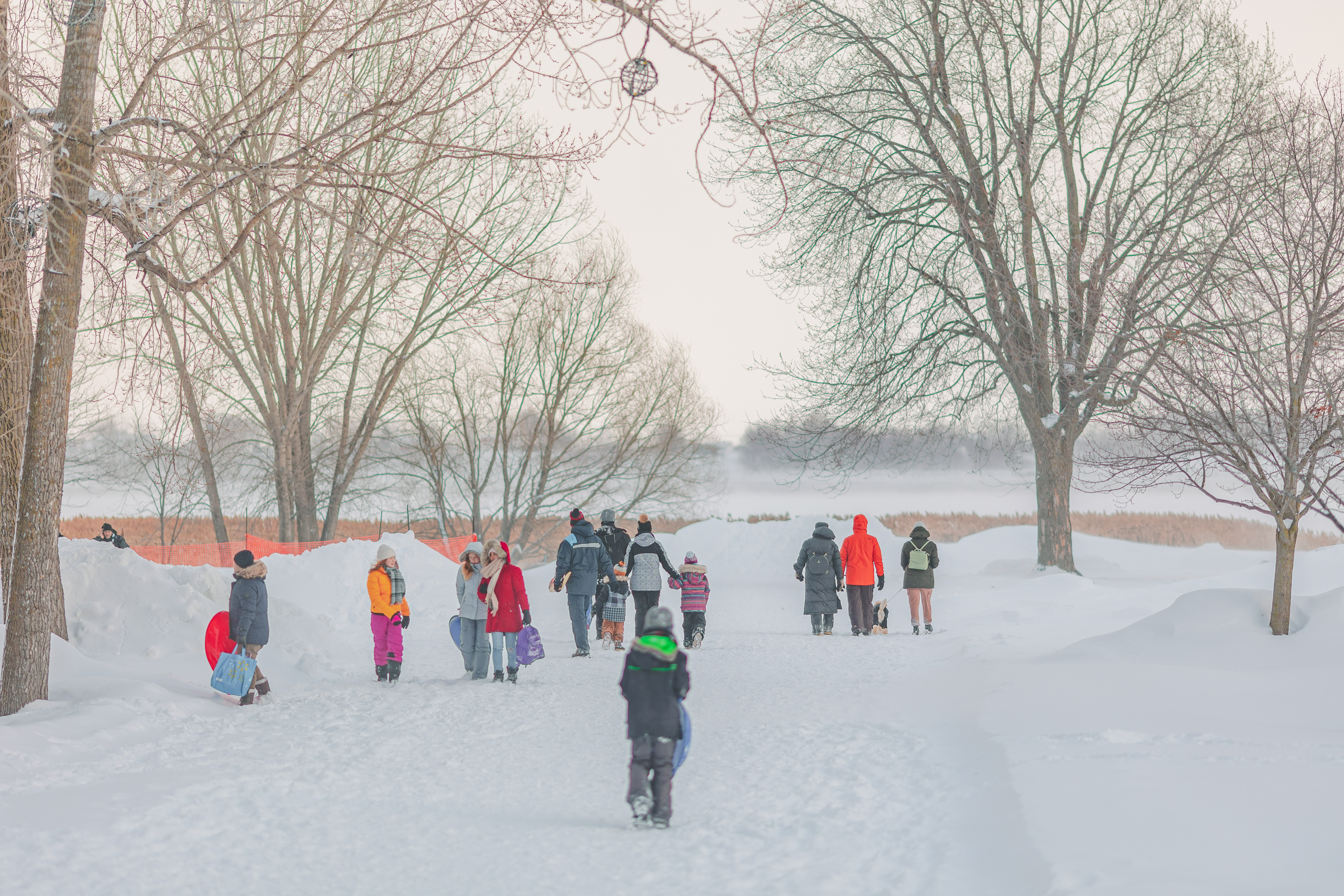 Patin, glissade, et raquette - Parc régional de l'île Lebel - 1