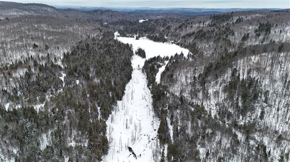 Parc régional de Kilkenny - 6