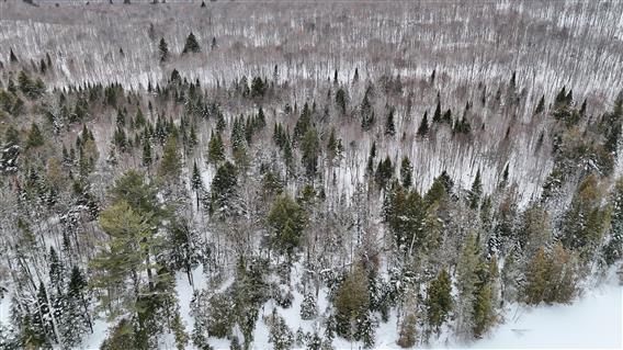 Parc régional de Kilkenny - 7